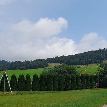 Pokoje Goscinne Budzowie Czarna Góra Kültér fotó