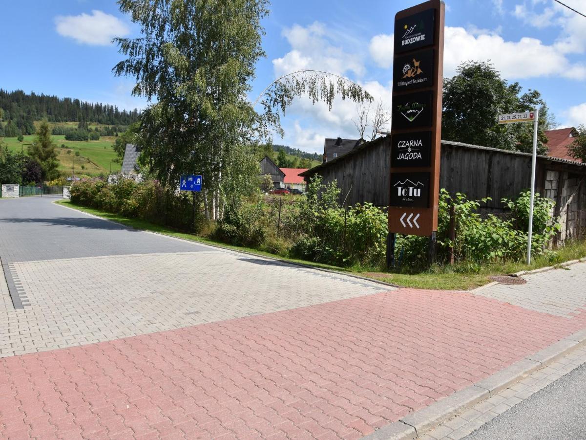 Pokoje Goscinne Budzowie Czarna Góra Kültér fotó
