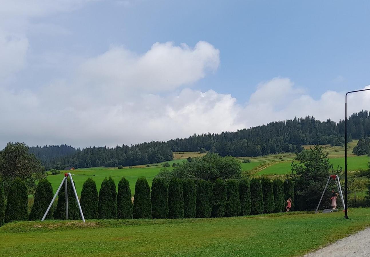 Pokoje Goscinne Budzowie Czarna Góra Kültér fotó